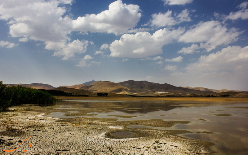 مقابله با خشکی قوری‌گل نیازمند همراهی مردم و همکاری مسئولین است