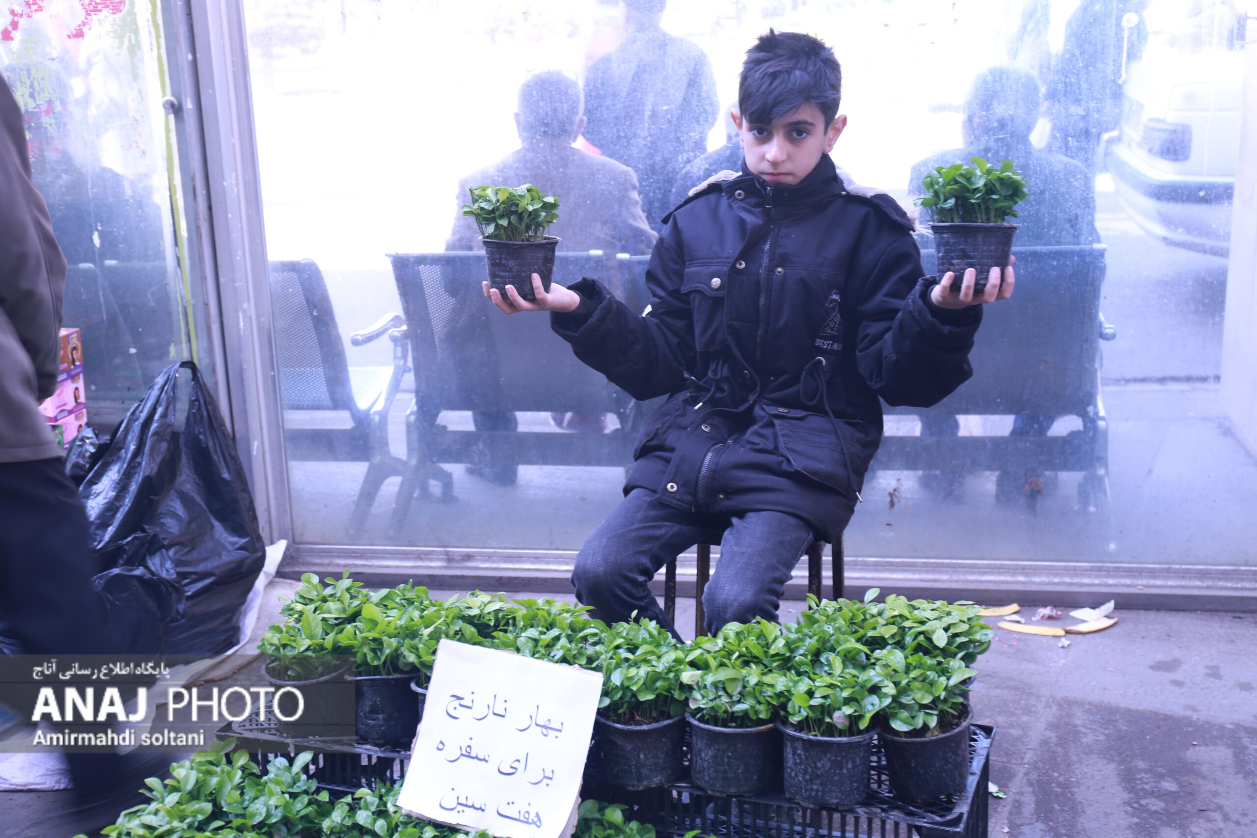 بایرام هاواسی