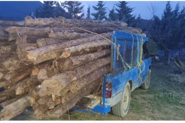 قطع‌کنندگان درختان ارسباران دستگیر شدند