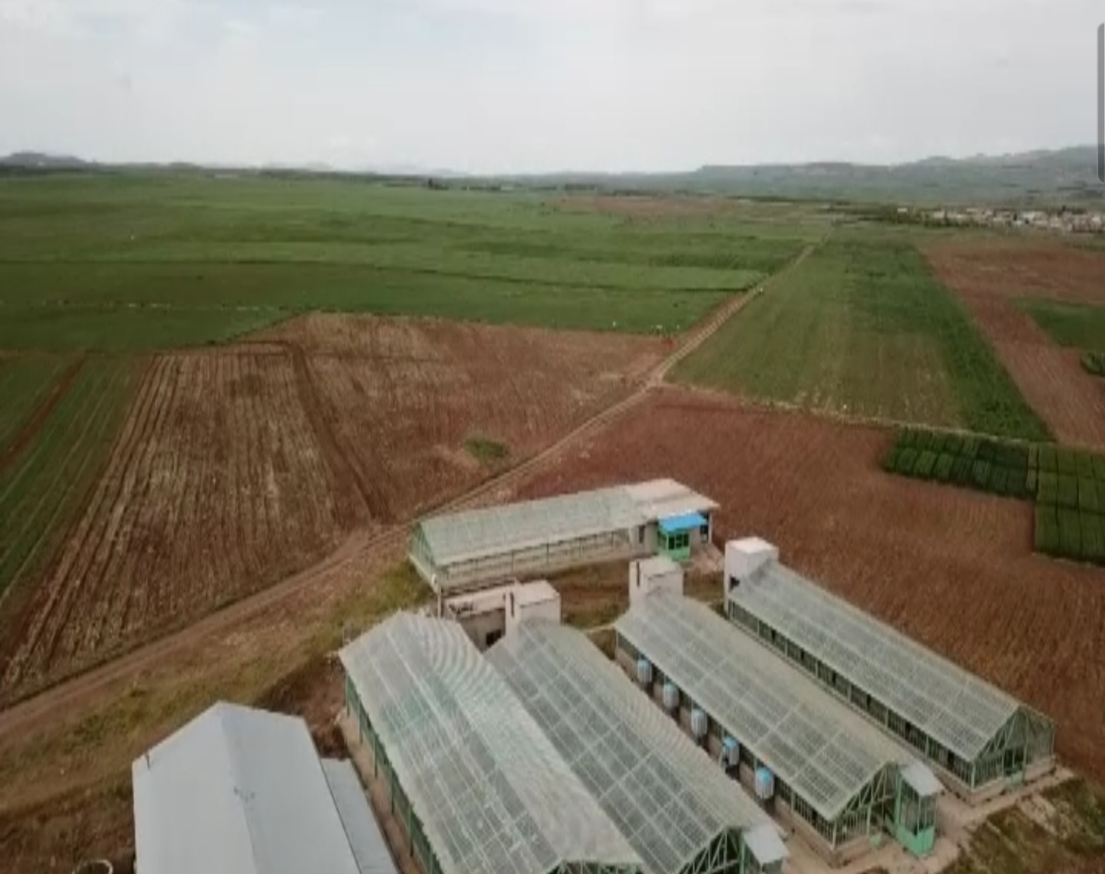 ایجاد 3 پایگاه نوآوری جهش تولید زراعی در آذربایجان شرقی