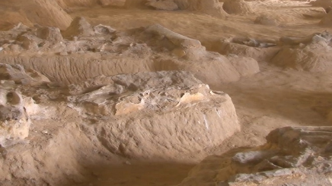 تخصیص ۸ میلیارد تومان به مرکز تحقیقات فسیل مراغه