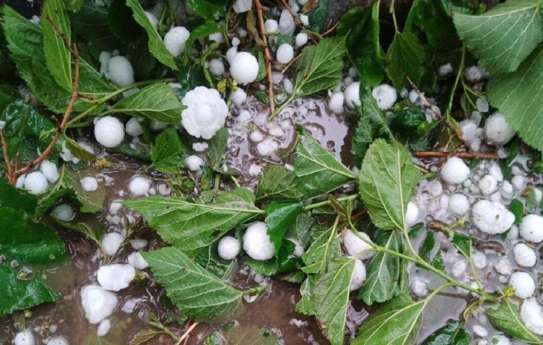 هشدار بارش تگرگ در آذربایجانشرقی