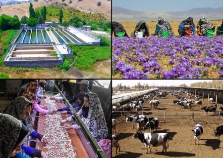چهار هزار و ۷۸۷ طرح اشتغال روستایی در آذربایجان‌شرقی