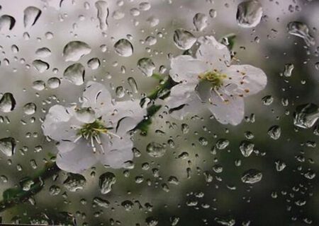 پیش بینی بارش‌های رگباری در نیمه شمالی آذربایجان‌شرقی