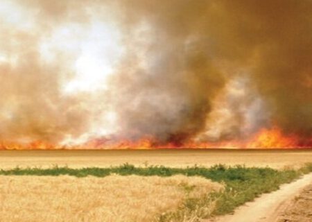 ممنوعیت آتش زدن مزارع بعد از برداشت محصول در آذربایجان شرقی