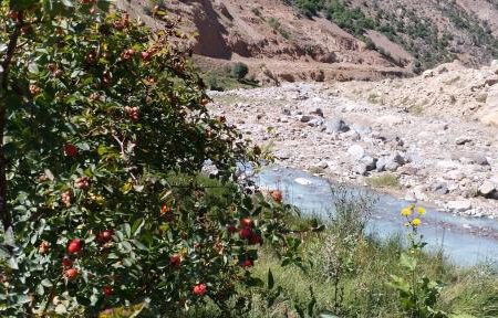 «ایلقنا چایی» و ماجرای یک دهه آلودگی