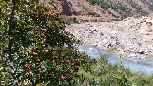 «ایلقنا چایی» و ماجرای یک دهه آلودگی