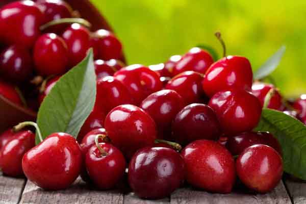 رتبه دوم آذربایجان شرقی در تولید آلبالو