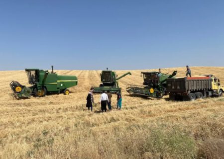 افزایش ۴۰ درصدی خرید گندم از کشاورزان مراغه