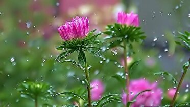 کاهش سه تا ۶ درجه‌ای دمای هوای آذربایجان‌شرقی