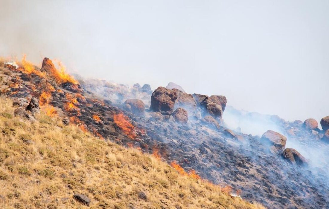 مهار کامل آتش‌سوزی مراتع اهر