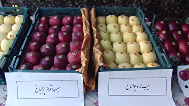 برگزاری جشنواره سیب و عسل در مراغه