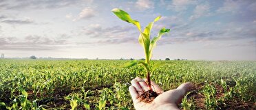 در تبریز چند گاوداری و مرغداری داریم؟