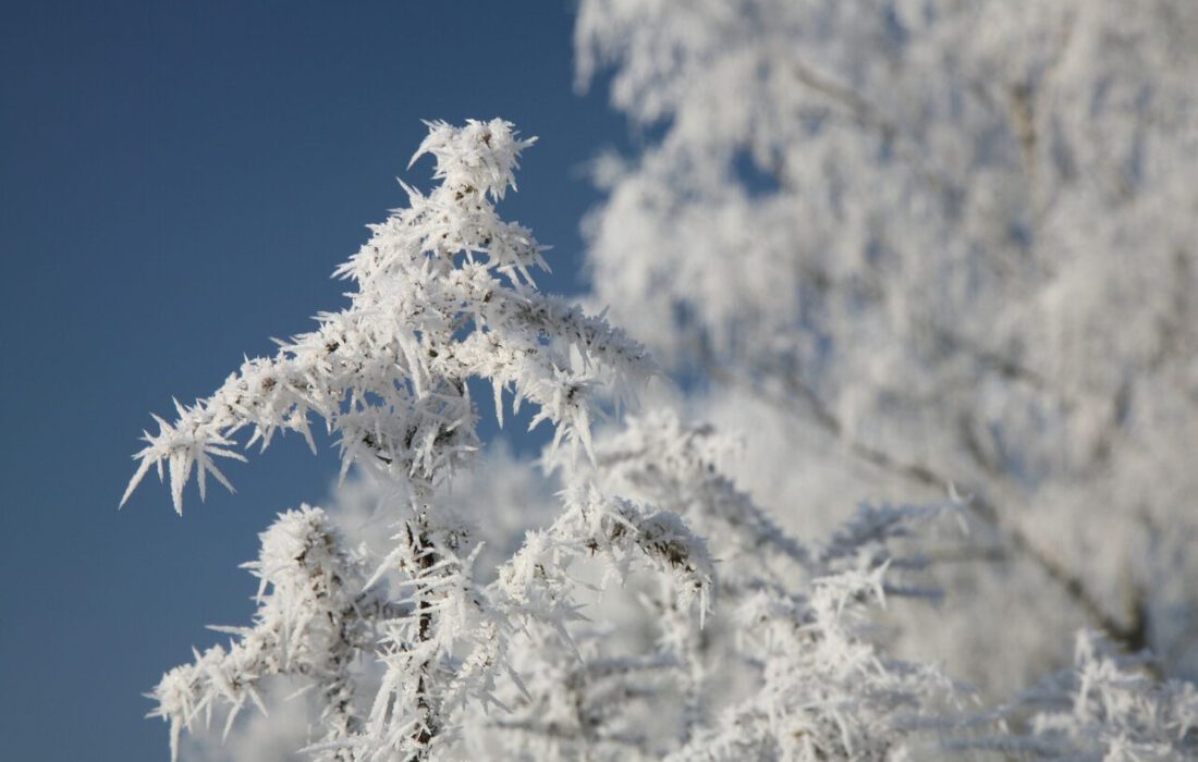 سراب سردترین شهر کشور