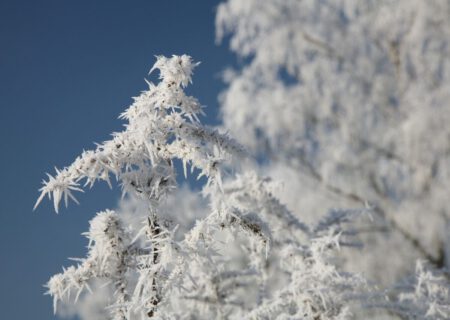 سراب سردترین شهر کشور