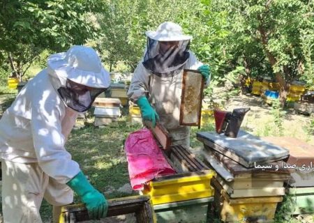 تولید سالانه 1500 تن عسل در ورزقان