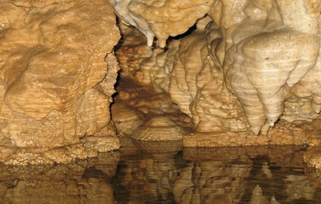 ثبت غار چپر مراغه در ذخایر ژنتیکی