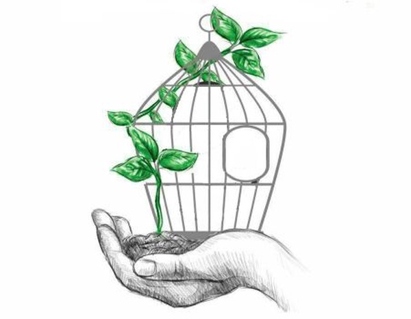 آزادی 2 زندانی به همت دانش‌آموزان در تبریز