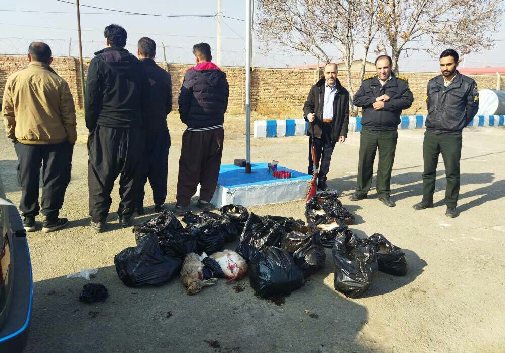 دستگیری شکارچیان غیربومی در هریس و اهر