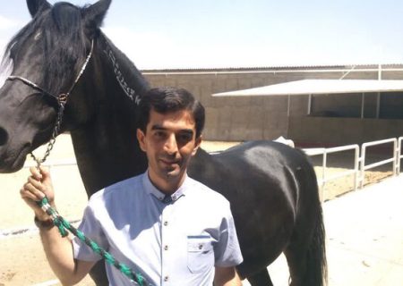 پرورش بیش از ۲ هزار اسب اصیل در آذربایجان شرقی