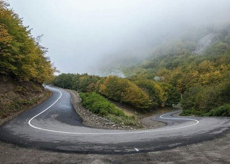 ثبت جهانی جنگل‌های ارسباران در دست پیگیری است