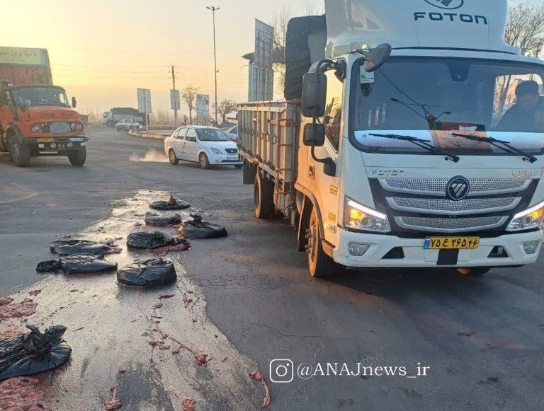 «ضایعات ماهی» برای صابون یا سوسیس؟!