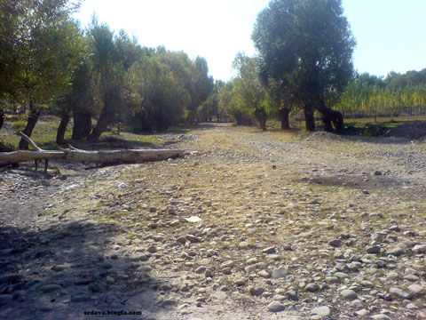 گزارش آناج از آلودگی زیستمحیطی در «سِیدآوا»