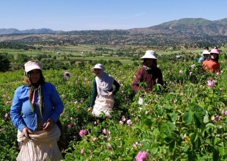 زنان چه نقشی و اهمیتی در ژئوپارک‌ سهند مراغه بر عهده می‌گیرند؟