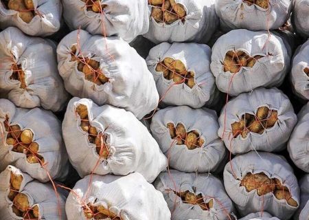 افزایش صادرات عامل گرانی سیب زمینی در آذربایجان‌شرقی است