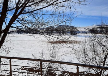 اخذ سند برای تالاب «قوری‌گول»