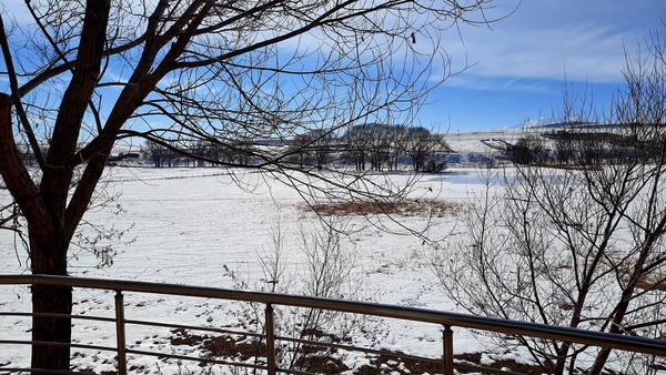 اخذ سند برای تالاب «قوری‌گول»