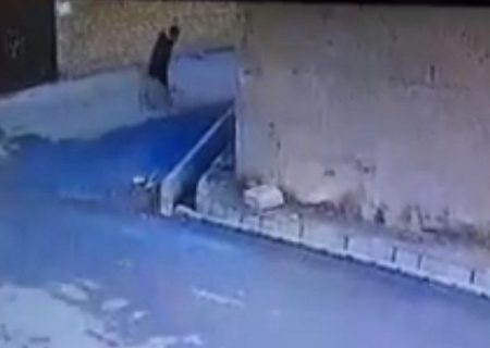 دختربچه مرندی قربانی صحنه حمله سگ شد