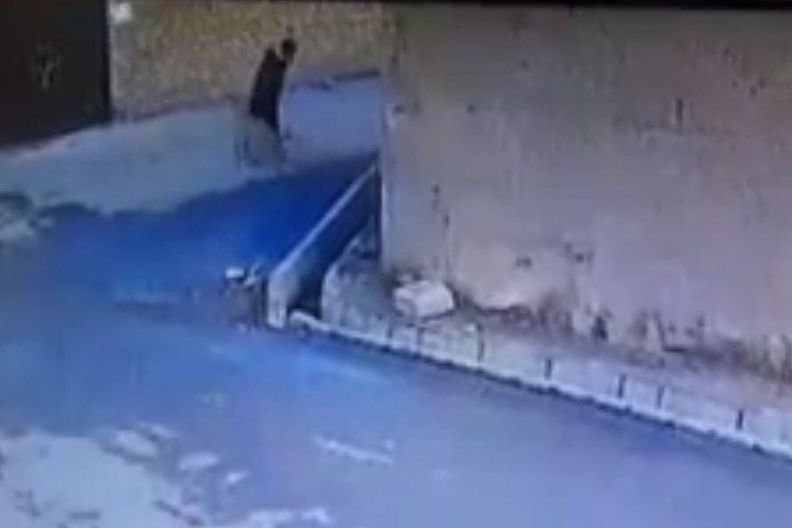 دختربچه مرندی قربانی صحنه حمله سگ شد