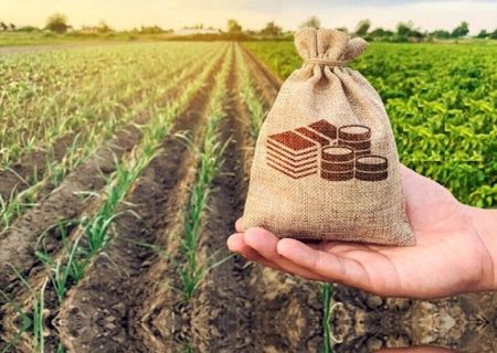 بخشودگی جرایم تسهیلات کشاورزان مراغه و عجب‌شیر