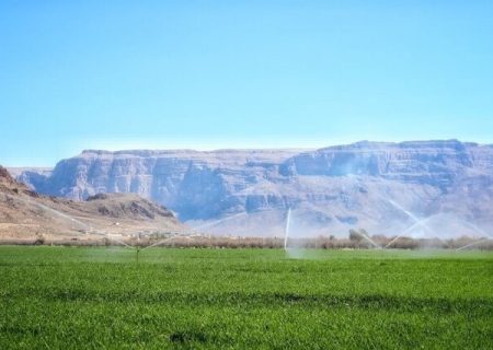 استفاده غیراقتصادی آب، مانع افزایش تولیدات غذایی