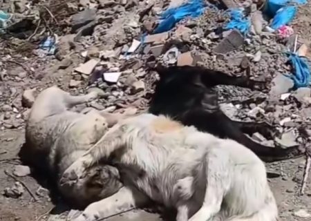 وضعیت نامناسب ورودی قراملک