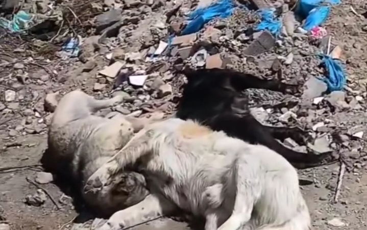 وضعیت نامناسب ورودی قراملک