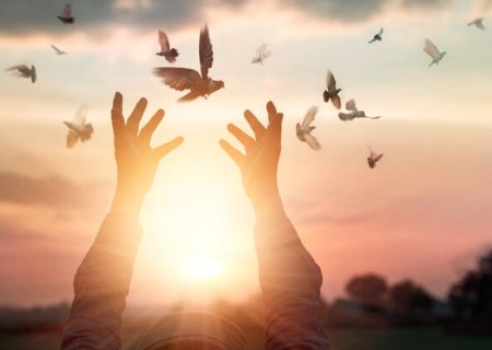 تراکتـور، تیمی که زندگی می‌بخشد!