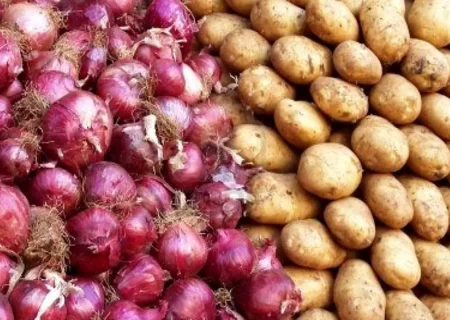 ضربه به کشاورزان و نیاز به سیاست‌گذاری دقیق