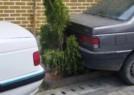 پارک ماشین در سنگ‌فرش بازار تبریز