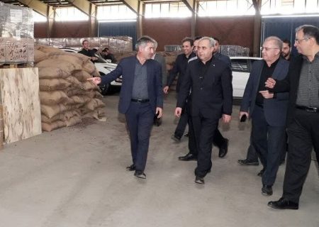 ترخیص ۱۲هزار تن کالا از گمرک سهلان تبریز