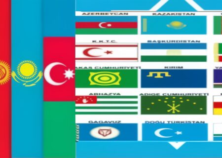 تشت رسوائی میلت‌چی‌ها!