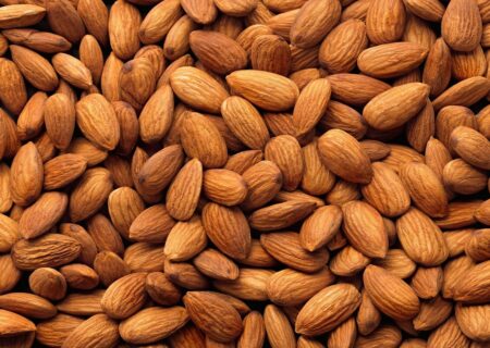 تولید بیش از ۱۲ هزار تن بادام در آذربایجان‌شرقی