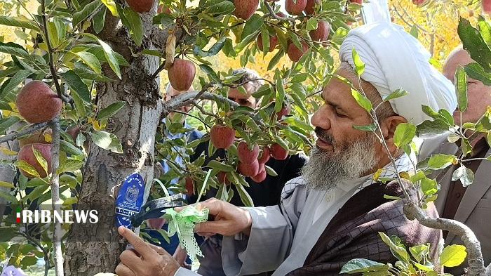 پلاک کوبی پنج هزار درخت برای زکات