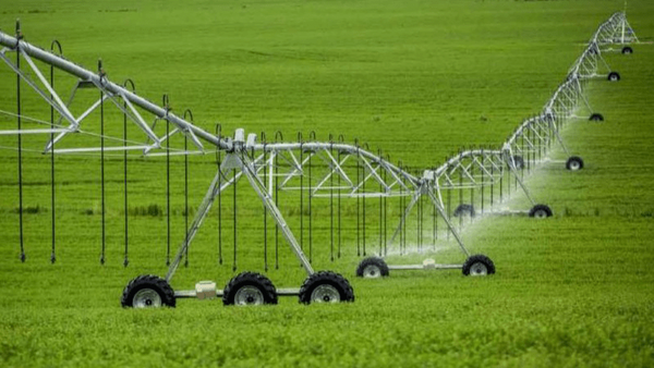 اجرای آبیاری نوین در ۷۰ هزار هکتار از مزارع آذربایجان شرقی