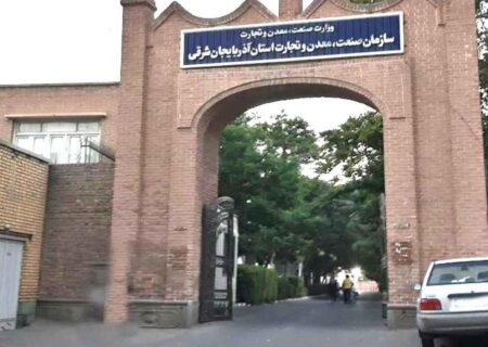 صمت و جهاد در برابر افکار عمومی سکوت کردند