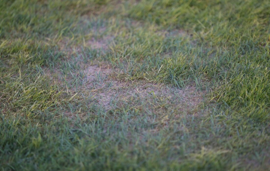 چمن پرحاشیه یادگار؛ تراکتوریها خواستار رسیدگی شدند