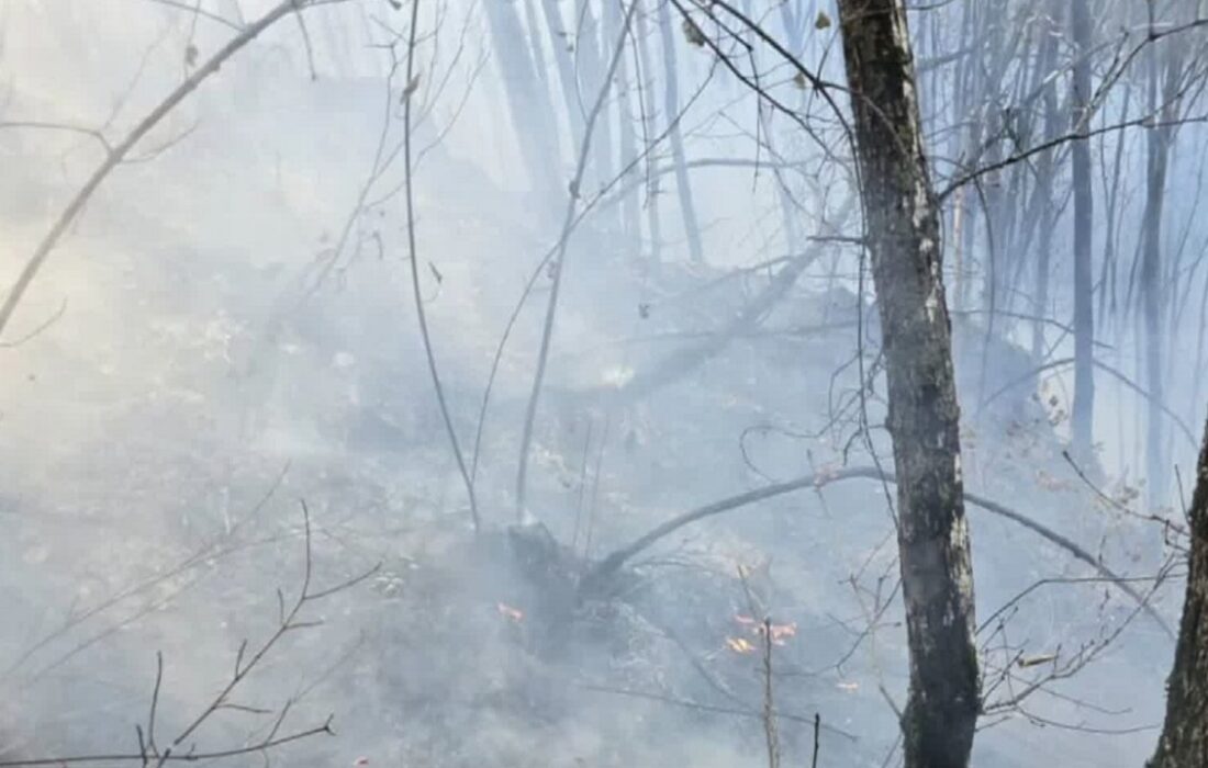 مهار آتش سوزی جنگل های دیزمار