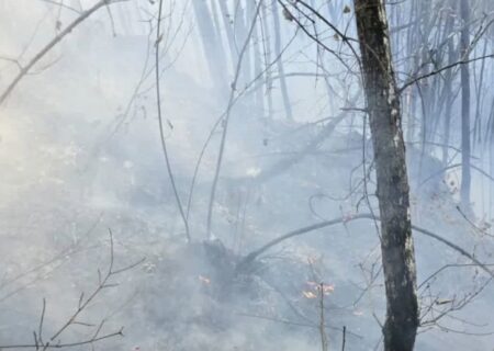 مهار آتش سوزی جنگل های دیزمار