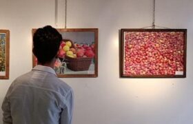 برپایی نمایشگاه عکس و نقاشی سیب در مراغه